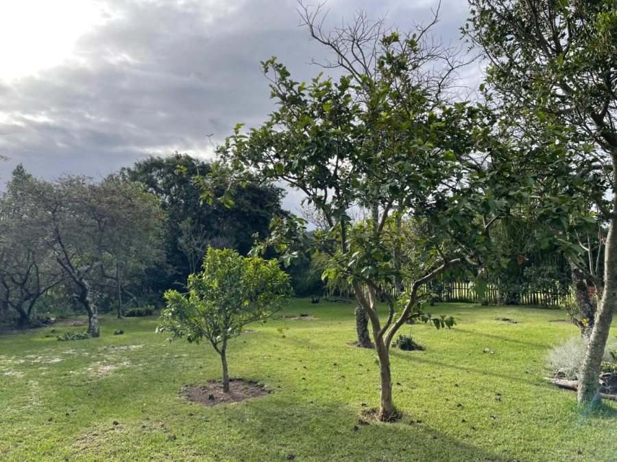 3 Bedroom Property for Sale in Bathurst Eastern Cape
